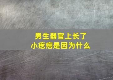 男生器官上长了小疙瘩是因为什么