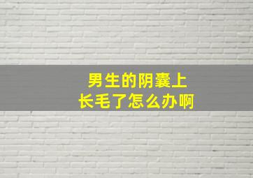 男生的阴囊上长毛了怎么办啊