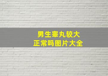 男生睾丸较大正常吗图片大全