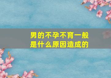 男的不孕不育一般是什么原因造成的