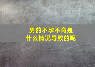 男的不孕不育是什么情况导致的呢