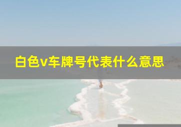 白色v车牌号代表什么意思