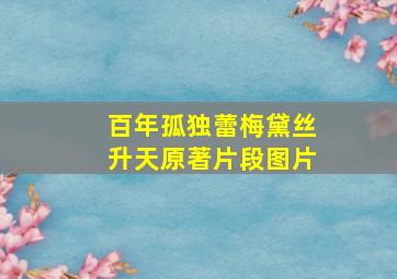 百年孤独蕾梅黛丝升天原著片段图片