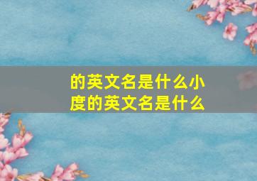 的英文名是什么小度的英文名是什么