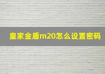 皇家金盾m20怎么设置密码