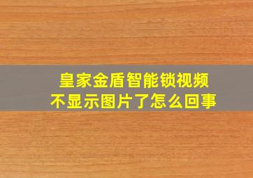 皇家金盾智能锁视频不显示图片了怎么回事