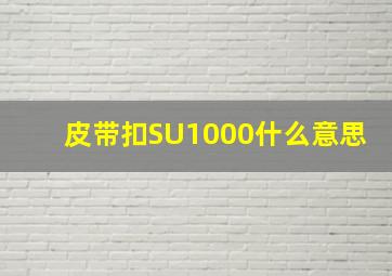 皮带扣SU1000什么意思