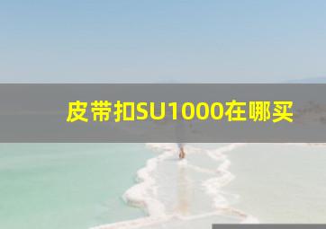 皮带扣SU1000在哪买