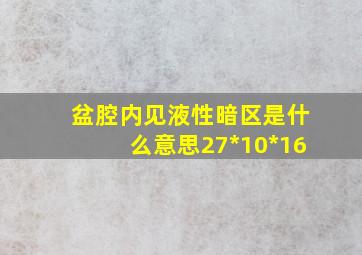 盆腔内见液性暗区是什么意思27*10*16