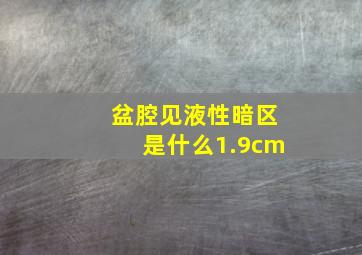 盆腔见液性暗区是什么1.9cm