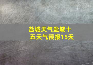 盐城天气盐城十五天气预报15天