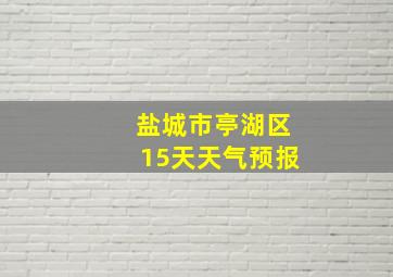 盐城市亭湖区15天天气预报