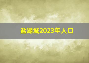 盐湖城2023年人口