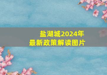 盐湖城2024年最新政策解读图片