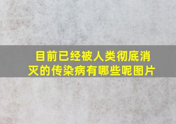 目前已经被人类彻底消灭的传染病有哪些呢图片