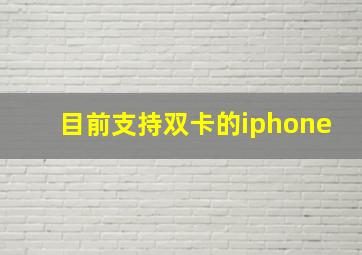 目前支持双卡的iphone