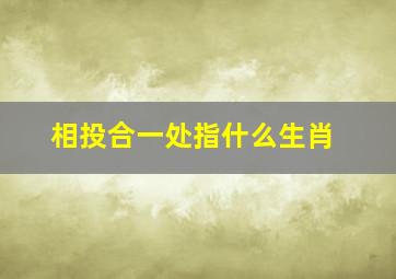 相投合一处指什么生肖