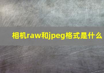 相机raw和jpeg格式是什么