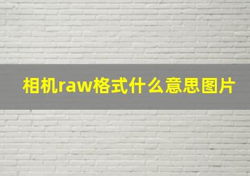 相机raw格式什么意思图片