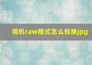 相机raw格式怎么转换jpg