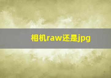 相机raw还是jpg