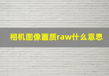 相机图像画质raw什么意思