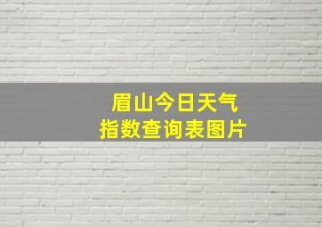 眉山今日天气指数查询表图片