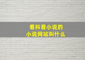 看抖音小说的小说网站叫什么