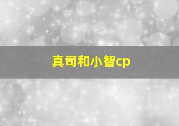 真司和小智cp