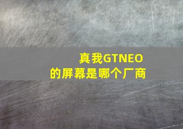 真我GTNEO的屏幕是哪个厂商