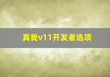 真我v11开发者选项