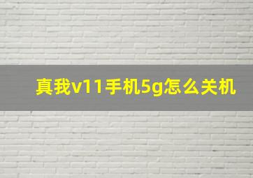 真我v11手机5g怎么关机