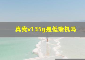 真我v135g是低端机吗