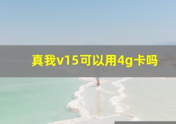 真我v15可以用4g卡吗