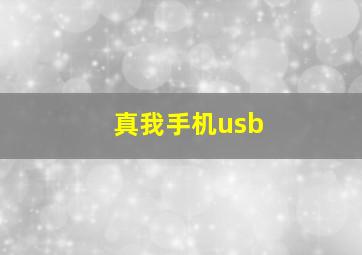 真我手机usb