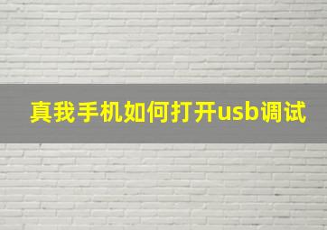 真我手机如何打开usb调试