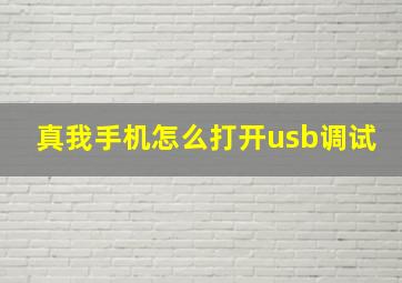 真我手机怎么打开usb调试