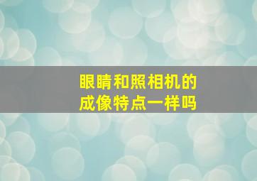 眼睛和照相机的成像特点一样吗