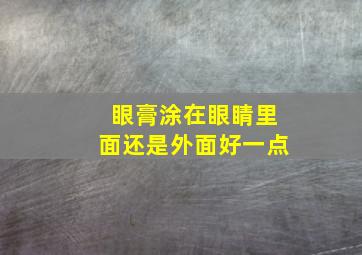 眼膏涂在眼睛里面还是外面好一点