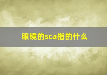 眼镜的sca指的什么