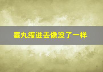 睾丸缩进去像没了一样