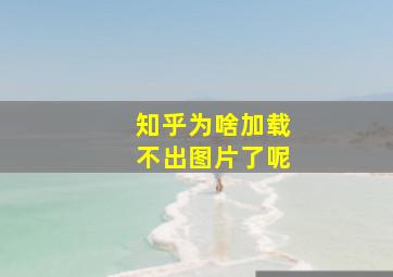 知乎为啥加载不出图片了呢