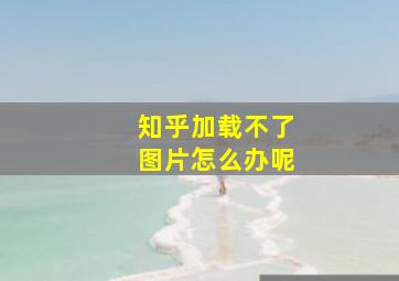 知乎加载不了图片怎么办呢