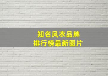 知名风衣品牌排行榜最新图片