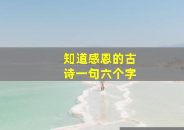 知道感恩的古诗一句六个字