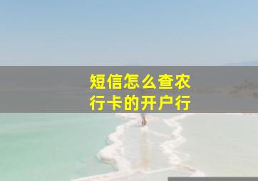 短信怎么查农行卡的开户行