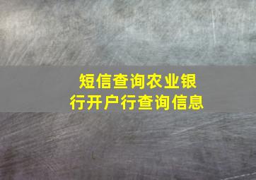 短信查询农业银行开户行查询信息