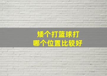 矮个打篮球打哪个位置比较好