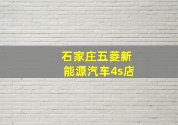 石家庄五菱新能源汽车4s店