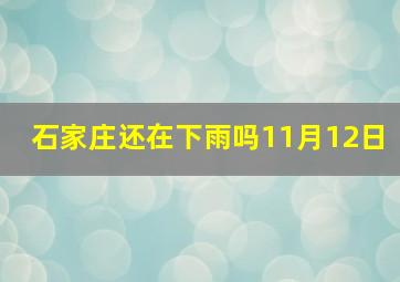 石家庄还在下雨吗11月12日